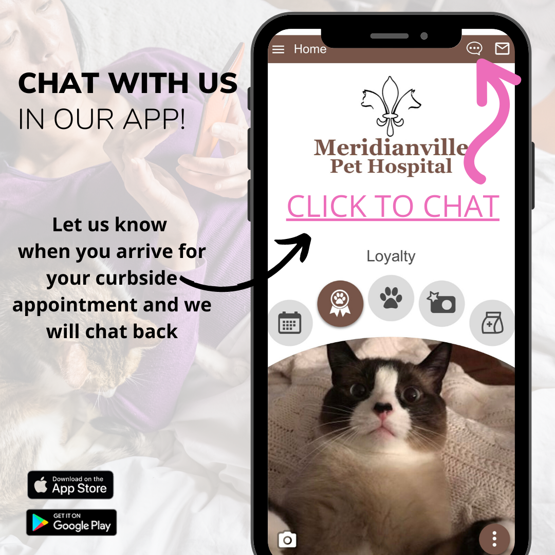 Chat with us in our app banner