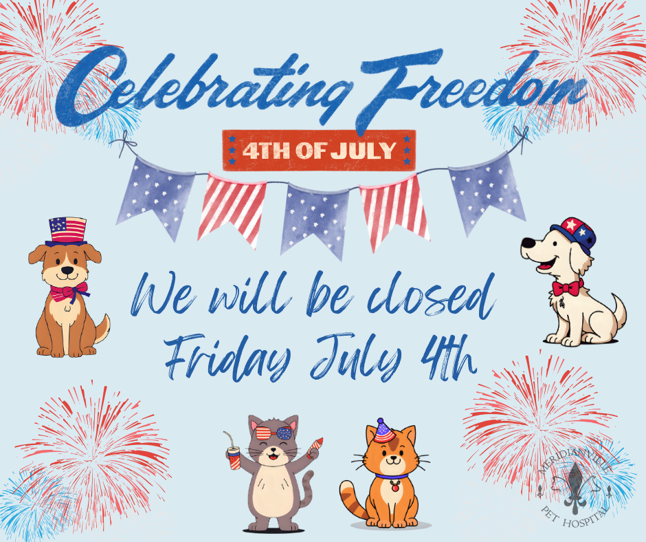 4th closure