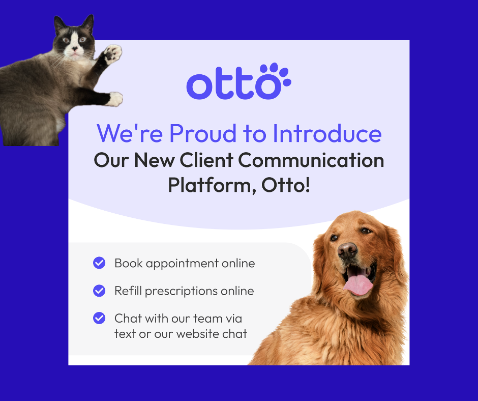 otto