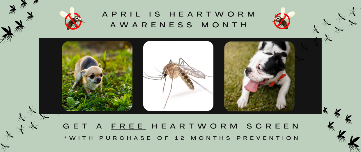 hwspecialapril
