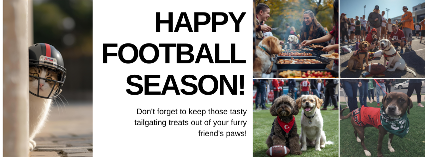 Tailgate 